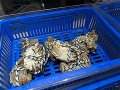 -怡咖啡自助餐(宁波香格里拉店)