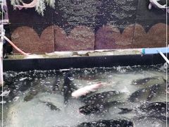 -山河屯铁锅炖(哈西站店)