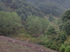 -会稽山峡洞漂流-上青古道