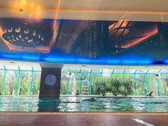 -深圳凯宾斯基酒店