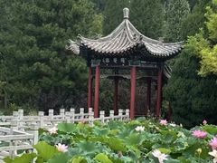 -晋祠公园