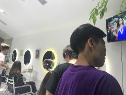 -大象造型
