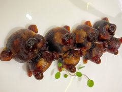 -甄御•海鲜新青岛菜(麦岛店)