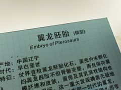 -安徽省地质博物馆