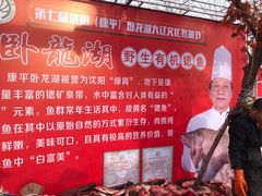 -卧龙湖