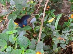 -中国天府农业博览园