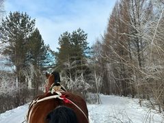 -亚布力新体委滑雪场