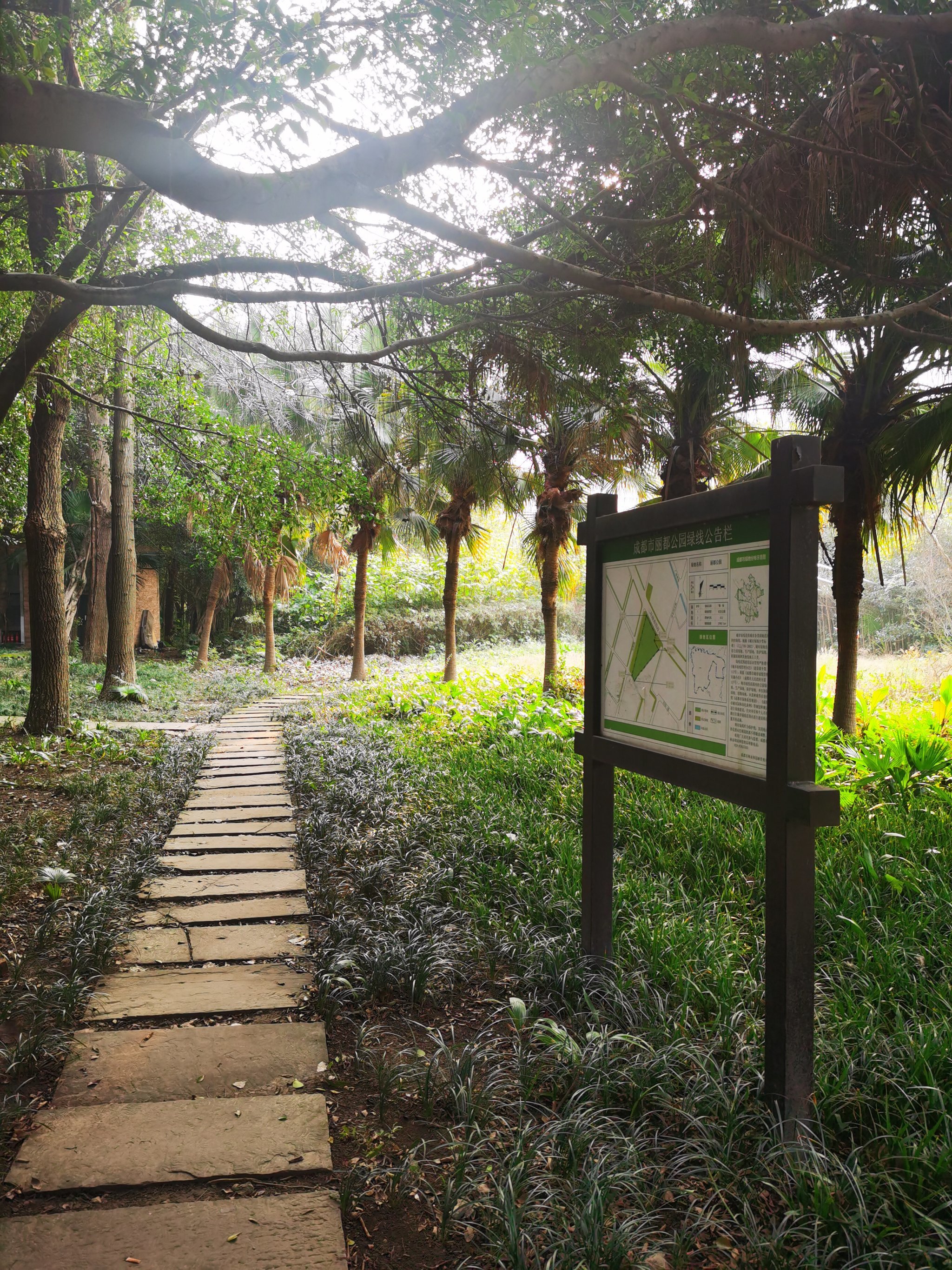 最近丽都公园人不多适合锻炼身体接受阳光正能量