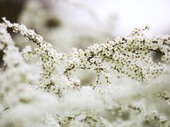 -共青国家森林公园-售票处