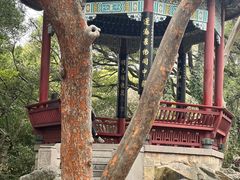 -乌山风景区
