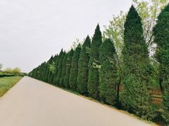 -汉景帝阳陵博物院