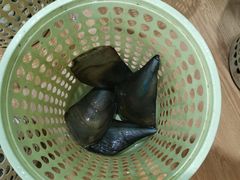 -小海豚•老字号海鲜餐厅(天涯店)