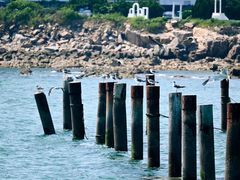 -青岛第二海水浴场