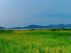 -四明山国家森林公园