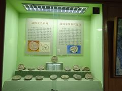 -古陶文明博物馆