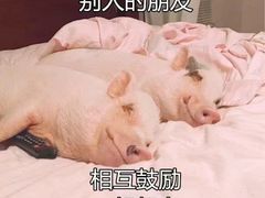 -鸣记脆皮烤鱼(铁西店)