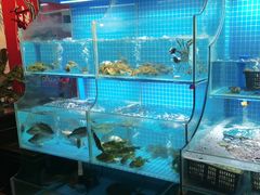 水产区-挂旗柴锅鸡(蚌山区嘉年华店)