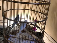 -小厨娘淮扬菜(六合欢乐港店)