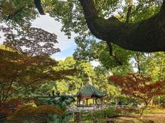 -申粤轩酒楼·三十年粤菜经典(丁香花园店)