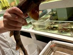 -至尊鲨鱼·原烹海鲜·新浙菜(拱宸桥店)