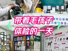 -心仪动物医院·牙专科·肿瘤·心脏科(西客站院)