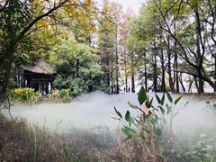 -东湖落雁景区