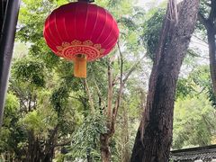 -深圳国际园林花卉博览园