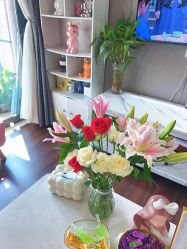 -哈颜科技轻美·