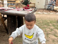 -HERRE·FARM 赫尔露营农场·团建聚会包场