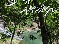 -马峦山郊野公园