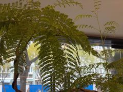 -素禅棋牌会所(海阳路店)