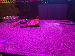 -好乐迪(张扬路八佰伴店)