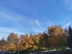 -长春世界雕塑园冰雪艺术天地