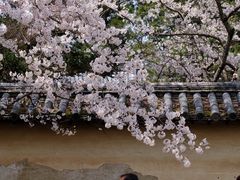 -醍醐寺