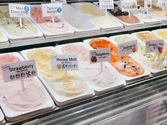 -Dooley's Premium Ice Cream