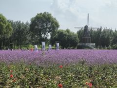 -渔岛海洋度假区