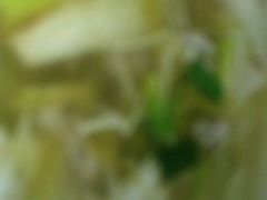 -木柴豆腐·活海鲜·鲁菜
