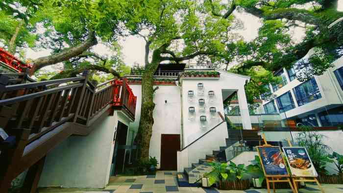 普陀山开元观堂酒店-"五月中旬来普陀山朝拜 开元观堂普陀山店就.