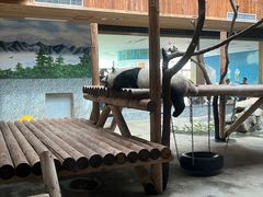 -西安秦岭野生动物园