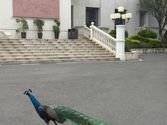 -西昌邛海宾馆