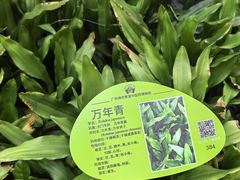 -广州神农草堂中医药博物馆