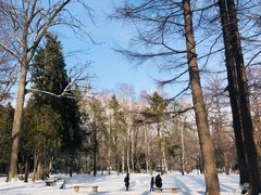 -北海道神宫