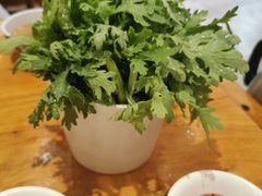 -乐宴·老北京铜火锅(桂庙店)