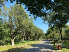 -永定河休闲森林公园