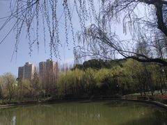 -黄兴公园