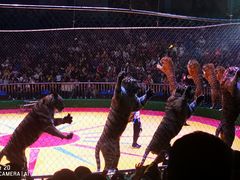 -西安秦岭野生动物园