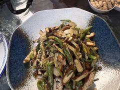 -阿巧茶庄