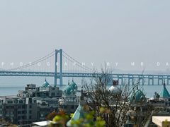 -臻宝中餐厅·大连菜·海鲜·融合菜(大连一方城堡豪华精选酒店)