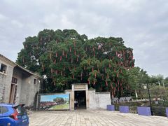 -大旗头古村