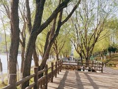 -永定河休闲森林公园